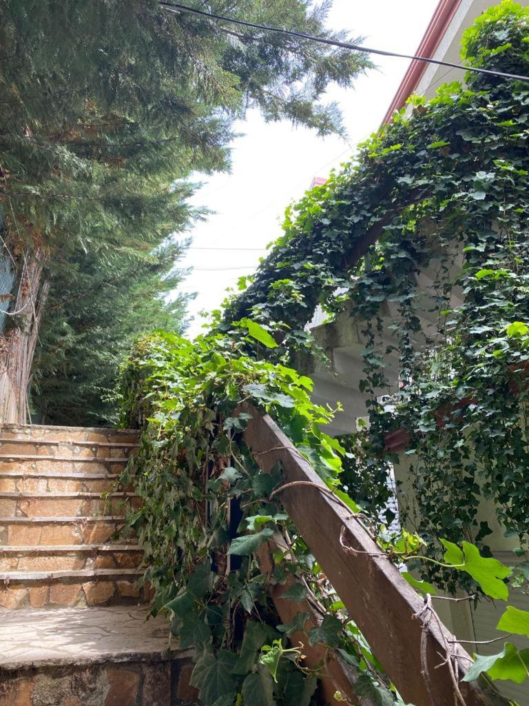 The Olives Terrace Residences Dhermi Bagian luar foto